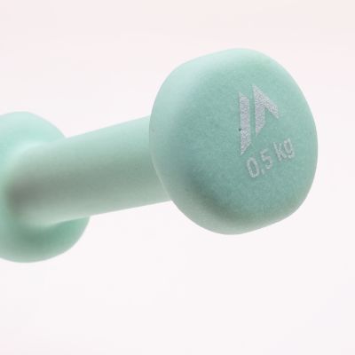 2. DYNAMOS 0.5 KG Dumbbell