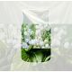 2. Car Air Freshener Bonus Pack CLEAN COTTON YANKEE