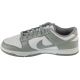 2. Nike Dunk Low Retro HF5441-105 shoes