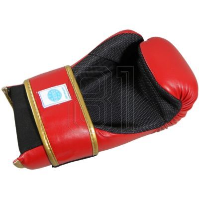 36. ROSM-MASTERS Open Gloves (WAKO APPROVED) 01559-02M