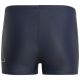 7. adidas Performance Big Bars Swim Jr IT2693 Swim Shorts
