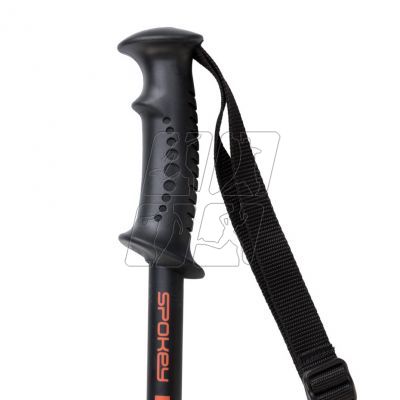 4. Trekking sticks Spokey Ekvilibro BK / OE 923971