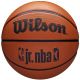 4. Basketball ball Wilson NBA Jr DRV Fam Logo Ball WZ3013001XB