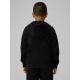 2. Boy's regular hooded sweatshirt 4F 4FJRMM00TSWSM2747-20S