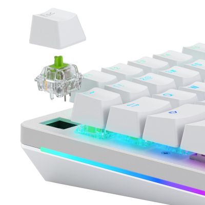 2. Glorious Raptor Standard Switch, mechanical, 5-Pin, clicky, MX-Stem, 55g - lubed, 36 Stück