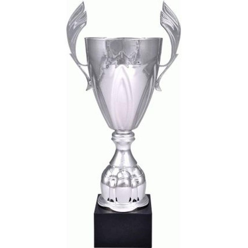 7. Silver metal cup 4127B