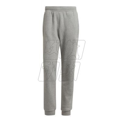 Adidas Essentials M H34659 pants