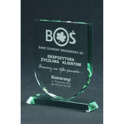 7. Engraved glass trophy with case