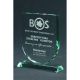 7. Engraved glass trophy with case