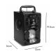 7. Audiocore portable Bluetooth speaker, FM radio, SD/MMC card slot, AUX, USB, remote control, AC730