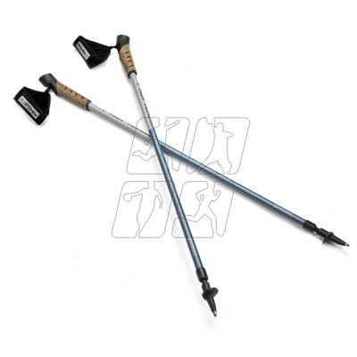 2. Spokey Neatness II Nordic Walking poles 929464