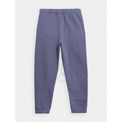 2. 4F Jr Pants 4FJAW23TTROM419-32S