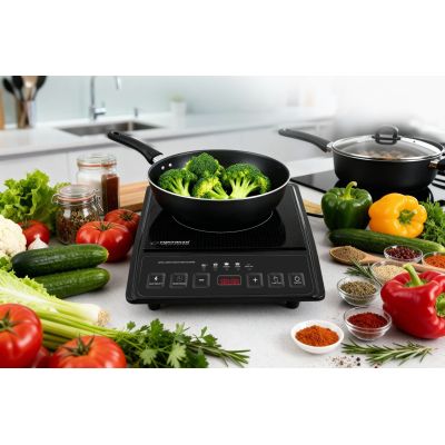 17. ESPERANZA INDUCTION COOKER KRAKATAU EKH011