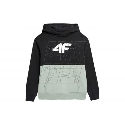 3. 4F Jr sweatshirt 4FJAW23TSWSM628-47S