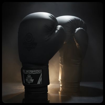 4. 10oz Boxing Gloves - Black Master - Valor Series