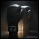 4. 10oz Boxing Gloves - Black Master - Valor Series