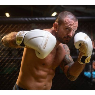 3. 8oz Boxing Gloves - Hammer White - Legacy Series