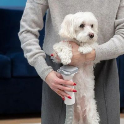 15. MPM MOD-1000 device for home care of dogs and cats