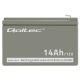 5. Qoltec 53045 maintenance-free battery