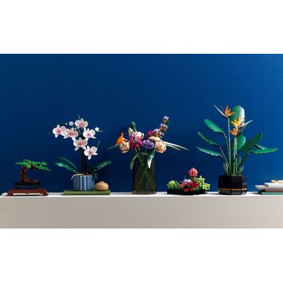 7. LEGO Icons 10311 - Orchid