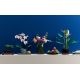 7. LEGO Icons 10311 - Orchid