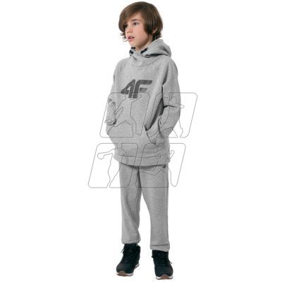 4. Sweatshirt 4F Jr. HJZ22 JBLM002 25M