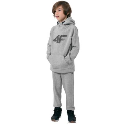4. Sweatshirt 4F Jr HJZ22 JBLM002 25M