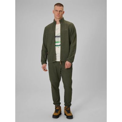 Men's jogger sweatpants 4F 4FRAW25TTROM1691-43M