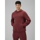 6. Men's regular hooded sweatshirt 4F 4FRSS26TSWSM2793-60S