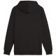 2. Puma Ess+ Logo LAB Gradient Hoodie FL M 681775 01