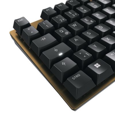 5. CHERRY KC 200 MX Keyboard Universal USB QWERTZ German Black, Brown