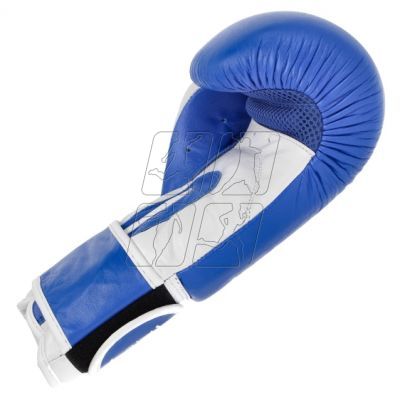 17. Leather boxing gloves MASTERS RBT-TRW 01210-02