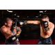 17. 10oz Boxing Gloves - Aureos - Valor Series