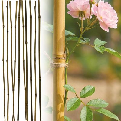 PROGARDEN BAMBOO PLANT SUPPORT 60 CM 10 PCS