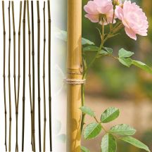 PROGARDEN BAMBOO PLANT SUPPORT 60 CM 10 PCS