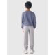 5. Boys' jogger sweatpants 4F Junior 4FJRAW24TTROM1175-25S