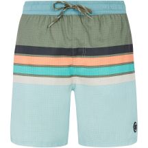 Men’s PROTEST PRTAvik green beach shorts