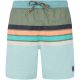 Men’s PROTEST PRTAvik green beach shorts