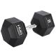 12. HMS HEX PRO 55 KG dumbbell