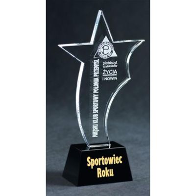 2. Engraved glass trophy + paint filling