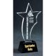 2. Engraved glass trophy + paint filling