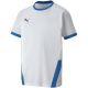4. Puma teamGOAL 23 Jersey Jr 704160 12