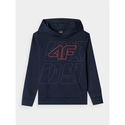 5. Hoodie 4F Jr 4FJWMM00TSWSM1292-31S