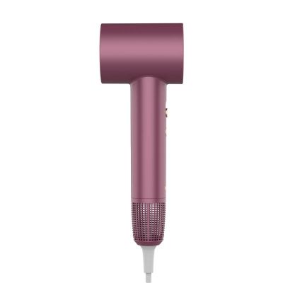 3. NENO BEAUTY SILVIA HAIR DRYER