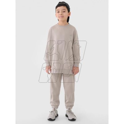 Tracksuit 4F Jr 4FJRAW24TAPSU040-83S