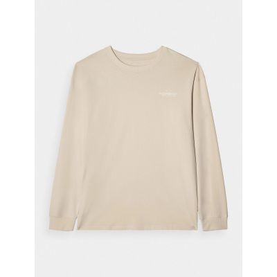 6. Men's oversized longsleeve with print 4F 4FRAW24TLONM502-12S