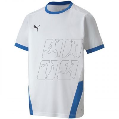 2. Puma teamGOAL 23 Jersey Jr T-shirt 704160 12