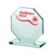9. Engraved glass trophy + paint filling