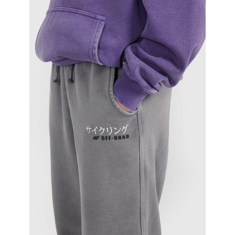 3. Boys' jogger sweatpants 4F 4FJRAW25TTROM1528-24S