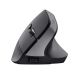 12. Trust BAYO+ ERGONOMIC WIRELESS Black mouse